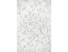 ������� ������ �����.jpeg