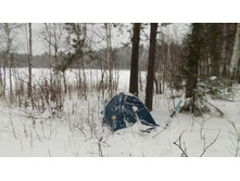 ������� ���� ������