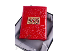 BV3-273 �������� �������� Mirella red.jpg