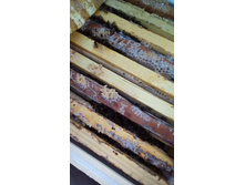 IMG 20160105 145730.jpg