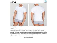 Lion �����.jpg