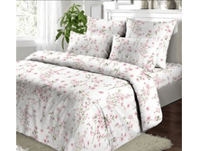 ��� ����5.png