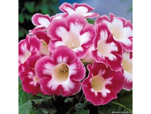 ��������� ����� �� ���� 3�� 176,4�.jpg