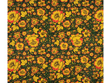 ���� �������� �������