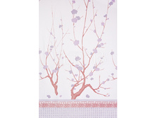 ����� ������ �����