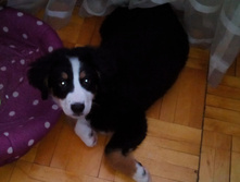 IMG 20160121 100038.JPG