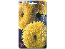 ����� ��������� ����� ������� ��� ����. 30 ��. 22 ���.jpg