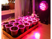 �������+��� ������������ �����+���������� ��������