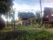 IMG 20150805 173202.jpg