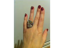 ������ Arlecc*hino �����������