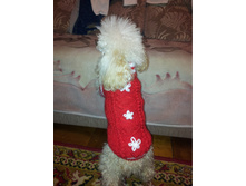 56a7b7c6535fe 20160126210533.jpg