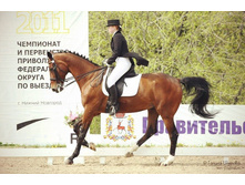 ��������. �������. ������ �����. ����.