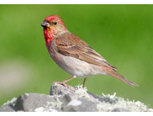 ������������ ��������.jpg