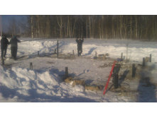 ������ �������� ���� �����