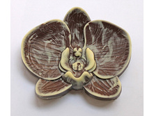 ������� �� �������� 35� ������� ����+���.jpg