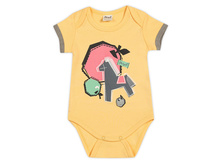 24-250 ������