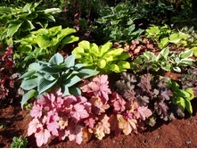 ����� � ���������� ������ � ��������. ������ ������� � ������� �����.jpg