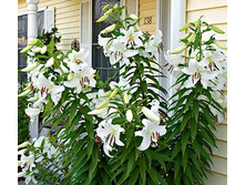 ����� ���������� ���. ����.2.jpg