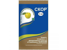 ���� 2�� �� �����,�����������28�.jpg