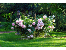 ���� ���� ������ ���. ����3.jpg