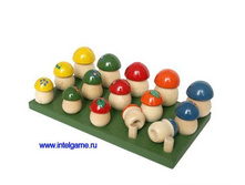 �45 �������� �� �������