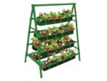 ������ ����������� ������������