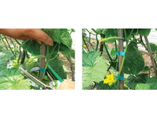 ����� ��� �������� �������� 3250 ���. (������� + 2 ��. ������� + 2 ���. ����).jpg