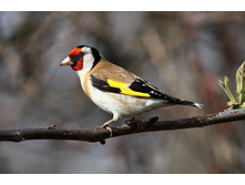 ������������ �����.jpg