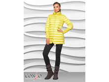 WMT1530 - lemon