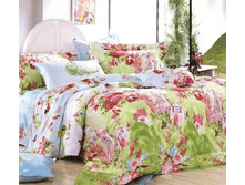 ��� �����3.png