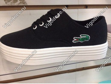 15061 ���� �� ��������� � ����� Lacoste ������ -488 ���.jpg