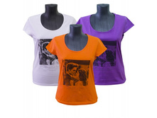 �������� �������/�������