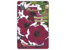 ������� ��������������� ����� F1 �������. 15 ��. 32 ���.jpg