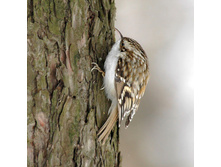 ������������ ������.jpg