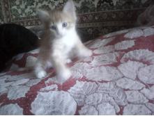 IMG 20160116 104851.jpg