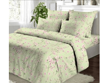 ��� ����7.png