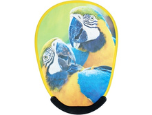 ��� ����11.jpg