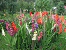 ���������� � ����2.jpg