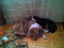 IMG 20160111 132133.JPG