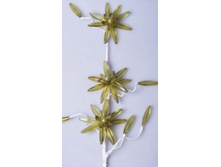 ��������� 5-081 200�.jpg