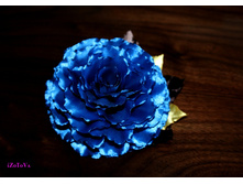 ������� ������ ������.