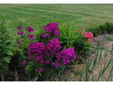 ����� ���� ���. ����2.jpg