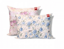 ������� �������� �������� ������� ����� ���������