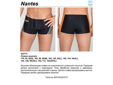 Nantes ������� ������� ���� (������).jpg