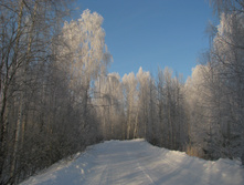 IMG 5826.jpg