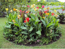 ��� ��� ������ ����� ���� ��� �����3