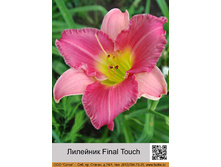 �������� Final Touch ���� �� 1 �� 126�.00�.