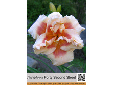 �������� Forty Second Street ���� �� 1 �� 188�.00�.