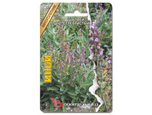 ������ ����������� ����. 20 ��. 16 ���.jpg