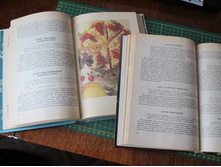 �� ���� ����